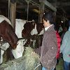 Onnion 2006 59